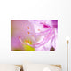 Close Up Of A Pink Flower Wall Mural