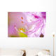 Close Up Of A Pink Flower Wall Mural