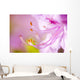 Close Up Of A Pink Flower Wall Mural