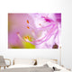 Close Up Of A Pink Flower Wall Mural