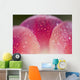Closeup Of Dew On Tulip Petal Wall Mural