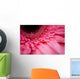Close Up Of A Pink Flower Wall Mural