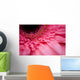 Close Up Of A Pink Flower Wall Mural