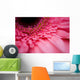 Close Up Of A Pink Flower Wall Mural