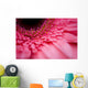 Close Up Of A Pink Flower Wall Mural