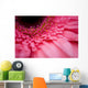 Close Up Of A Pink Flower Wall Mural