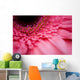 Close Up Of A Pink Flower Wall Mural