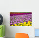 A Tulip Field Wall Mural