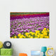 A Tulip Field Wall Mural