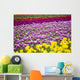 A Tulip Field Wall Mural