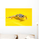 Baby Leopard Geckos On Yellow Wall Mural
