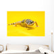 Baby Leopard Geckos On Yellow Wall Mural