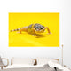 Baby Leopard Geckos On Yellow Wall Mural