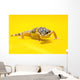 Baby Leopard Geckos On Yellow Wall Mural