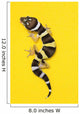 Baby Leopard Gecko On Yellow Wall Mural