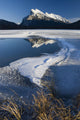 Mount Rundle, Banff National Park, Banff, Alberta Wall Mural