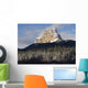 Castle Mountain, Banff National Park, Banff, Alberta Wall Mural