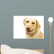 A Golden Labrador Wall Mural