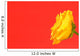 Yellow Rose On Red Wall Mural