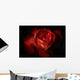 Dark Red Rose Wall Mural