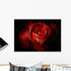 Dark Red Rose Wall Mural