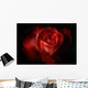 Dark Red Rose Wall Mural