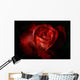 Dark Red Rose Wall Mural