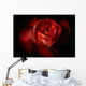 Dark Red Rose Wall Mural