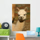 Baby Alpaca Wall Mural