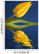 A Yellow Flower Reflected In Water Wall Mural