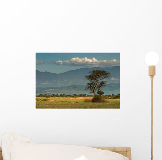 African Savanna Wall Mural