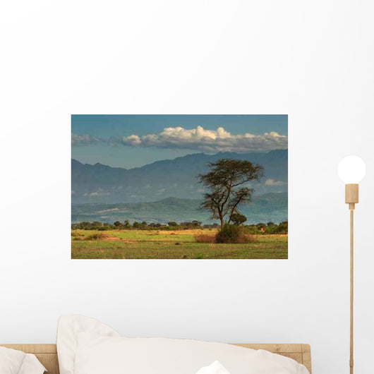 African Savanna Wall Mural