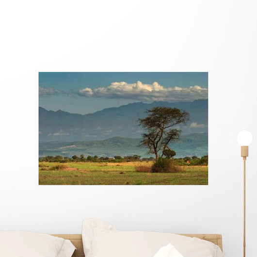 African Savanna Wall Mural