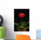 A Red Gerbera In A Pot Wall Mural