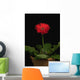 A Red Gerbera In A Pot Wall Mural