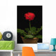A Red Gerbera In A Pot Wall Mural