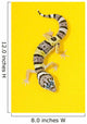 Baby Leopard Gecko Wall Mural