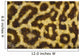Close Up Of Leopard Gecko Skin Patterns Wall Mural