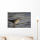 One Bird Wading In Water Wall Mural