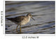 One Bird Wading In Water Wall Mural