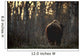 Rear View Of One Buffalo Wall Mural