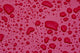 Water Drops On Pink Surface Wall Mural