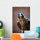 Falcon Wall Mural