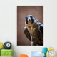 Falcon Wall Mural