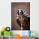 Falcon Wall Mural