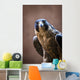 Falcon Wall Mural