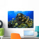 Schooling Bluestriped Grunt Fish On Coral Reef, Cozumel, Mexico Wall Mural