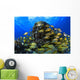 Schooling Bluestriped Grunt Fish On Coral Reef, Cozumel, Mexico Wall Mural