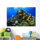 Schooling Bluestriped Grunt Fish On Coral Reef, Cozumel, Mexico Wall Mural