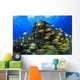 Schooling Bluestriped Grunt Fish On Coral Reef, Cozumel, Mexico Wall Mural